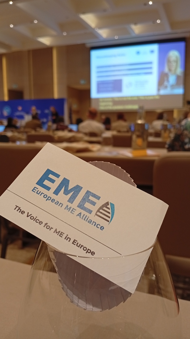 EMEA delegation at the European Disability Forum, Cyprus